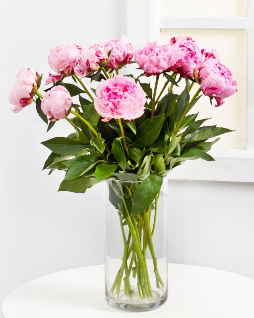 Peonijas