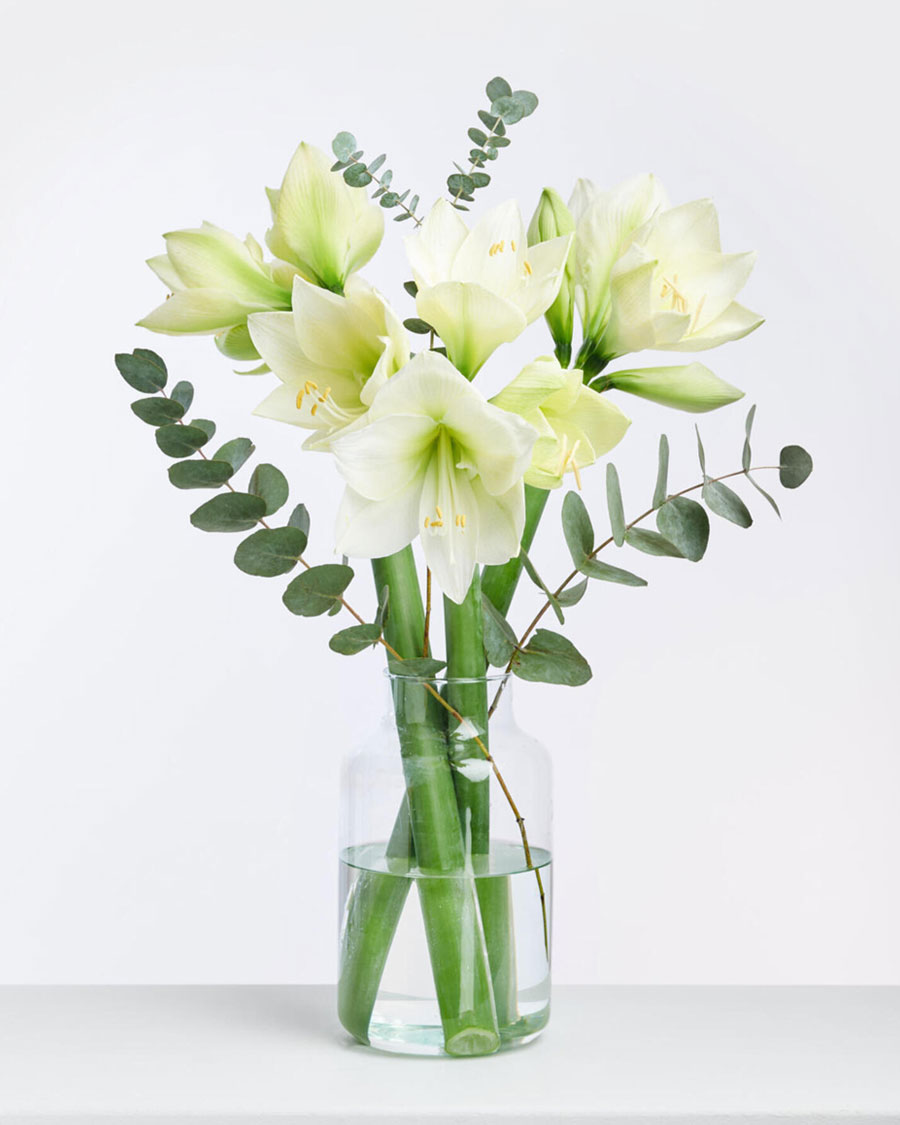 Baltie Ziemassvētki