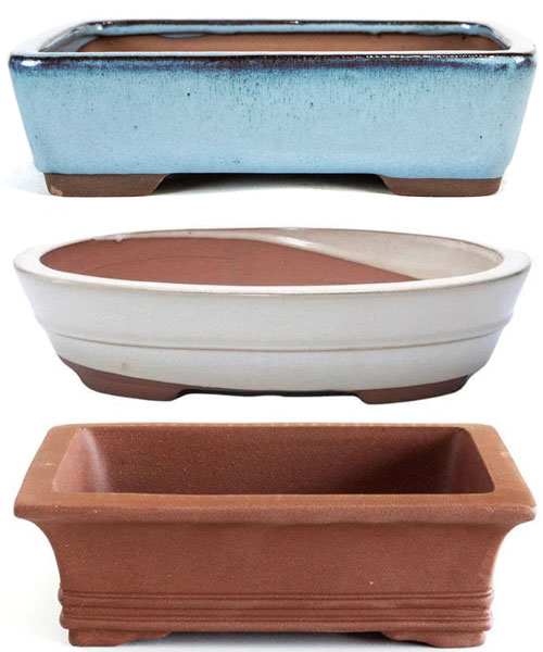 Dekoratīvais puķupods (Bonsai)