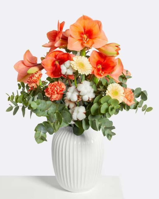 Brīnumainais amarillis