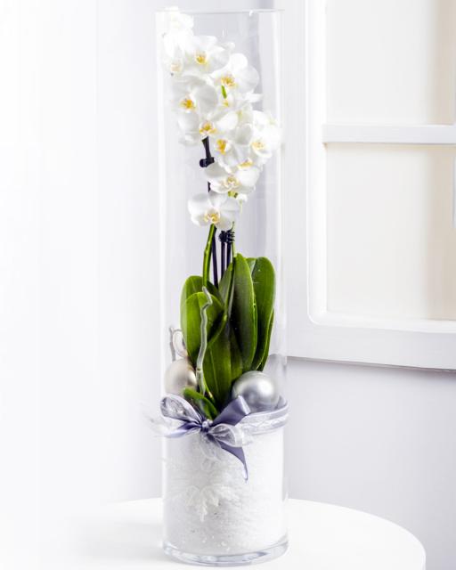Mūsdieniga kompozīcija ar orhideju stikla vāzē